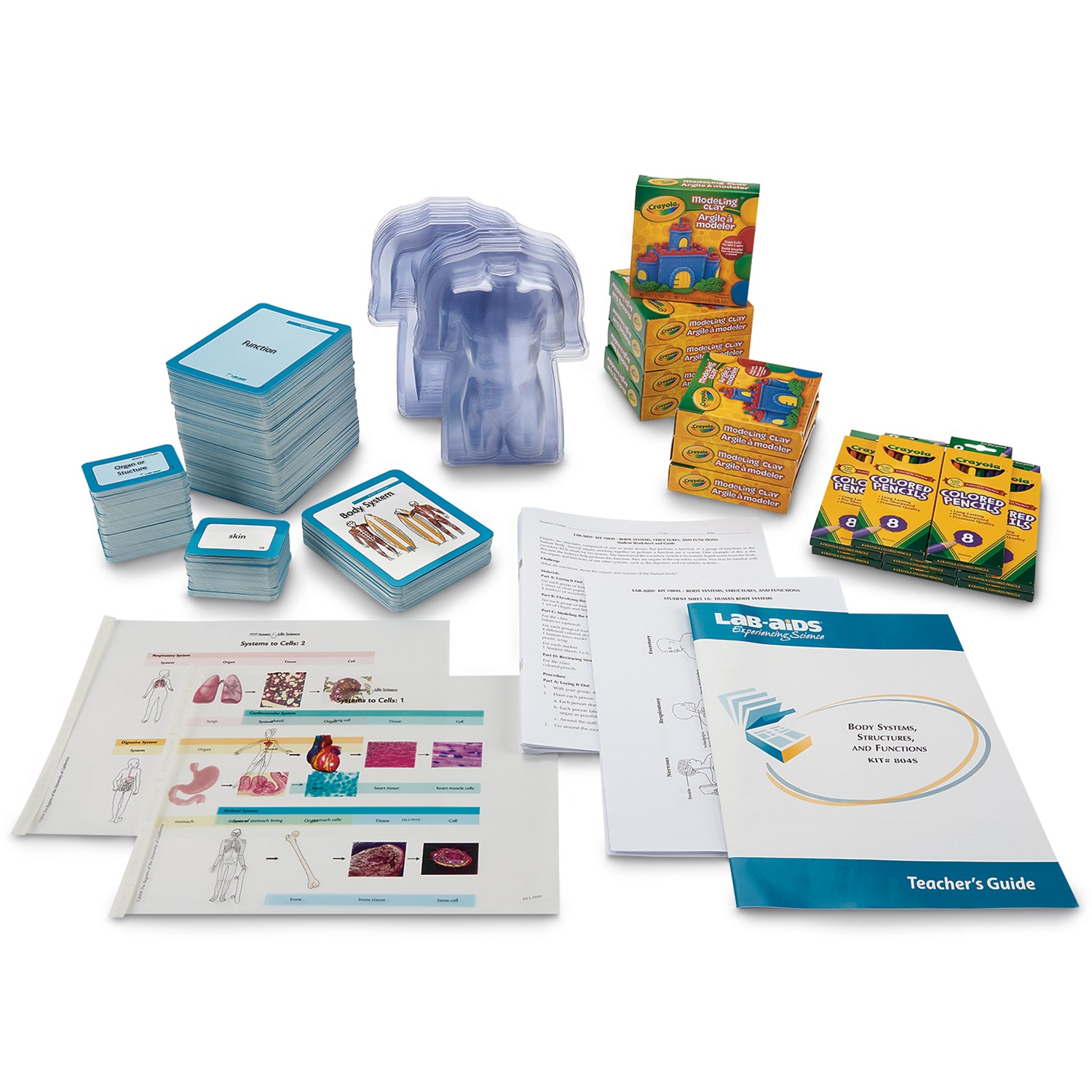 SB52342-Body Systems, Structures, and Functions