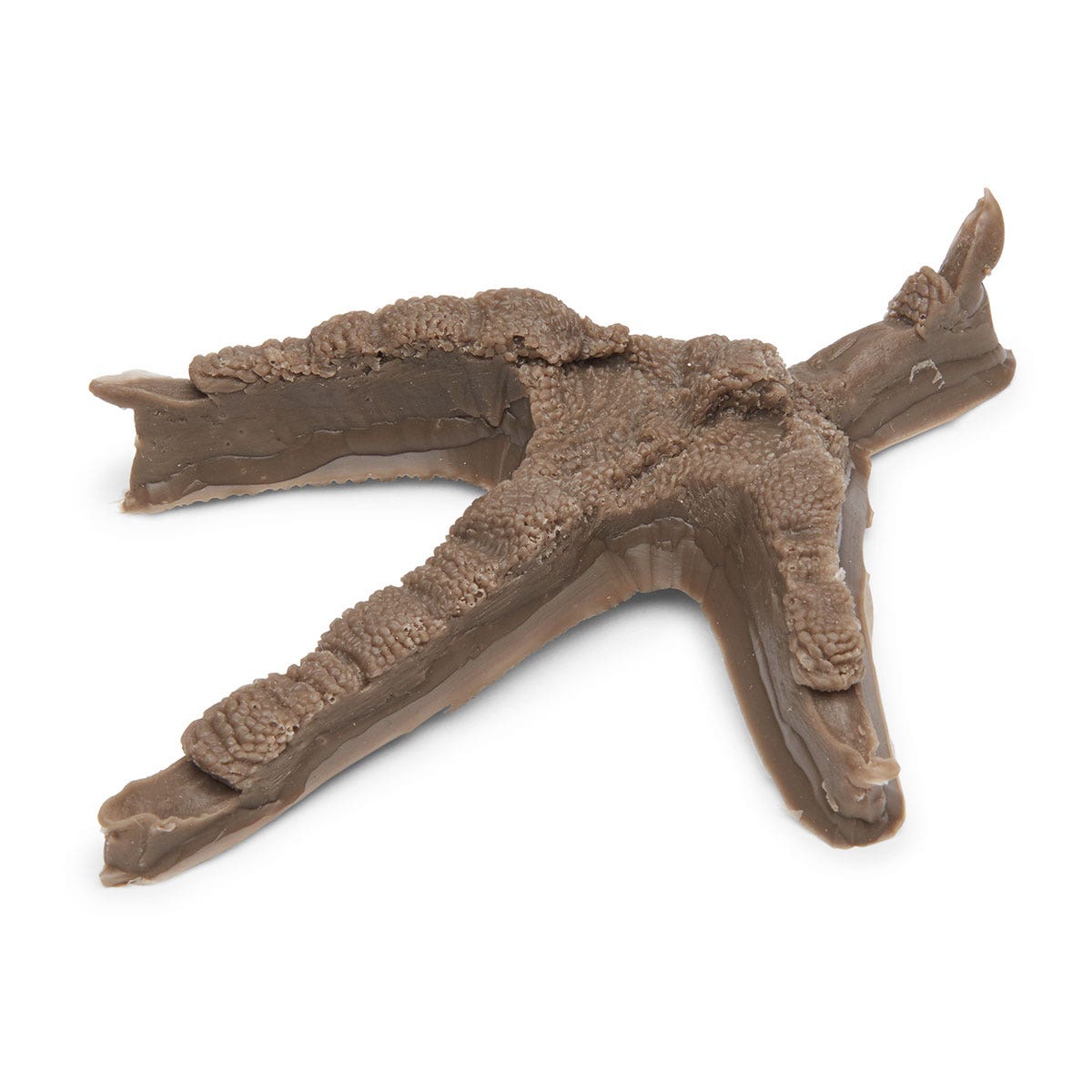 SB52442-Nasco Life/form® Turkey Track Replica