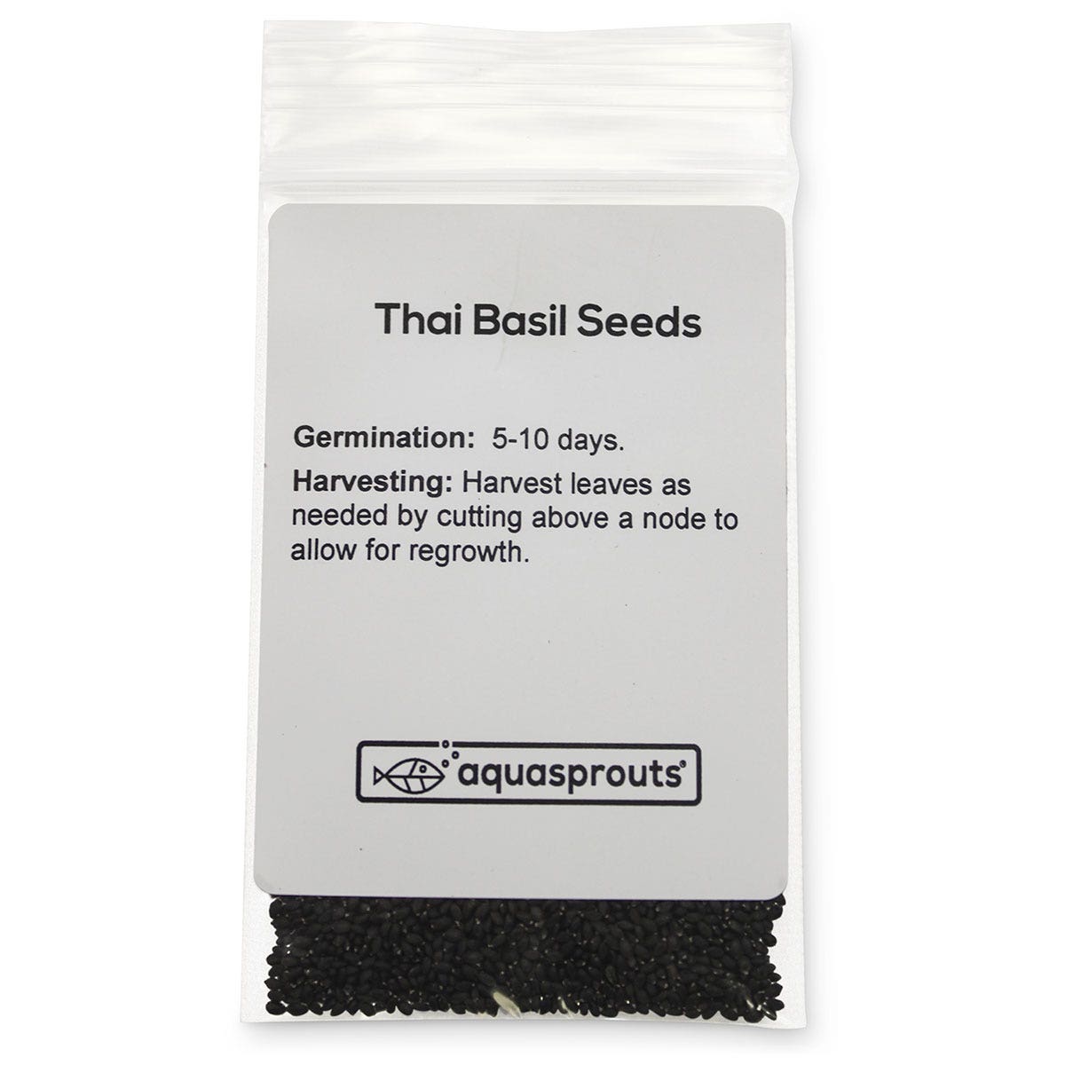 SB52490-Thai Basil Seeds