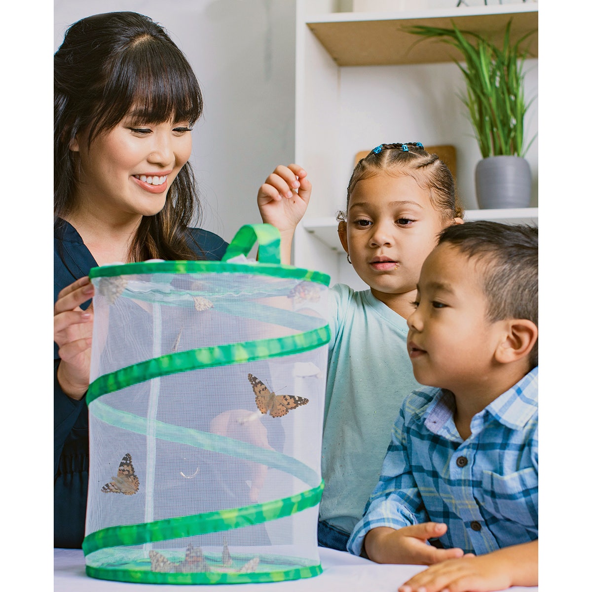 SB52856-Original Butterfly Garden®