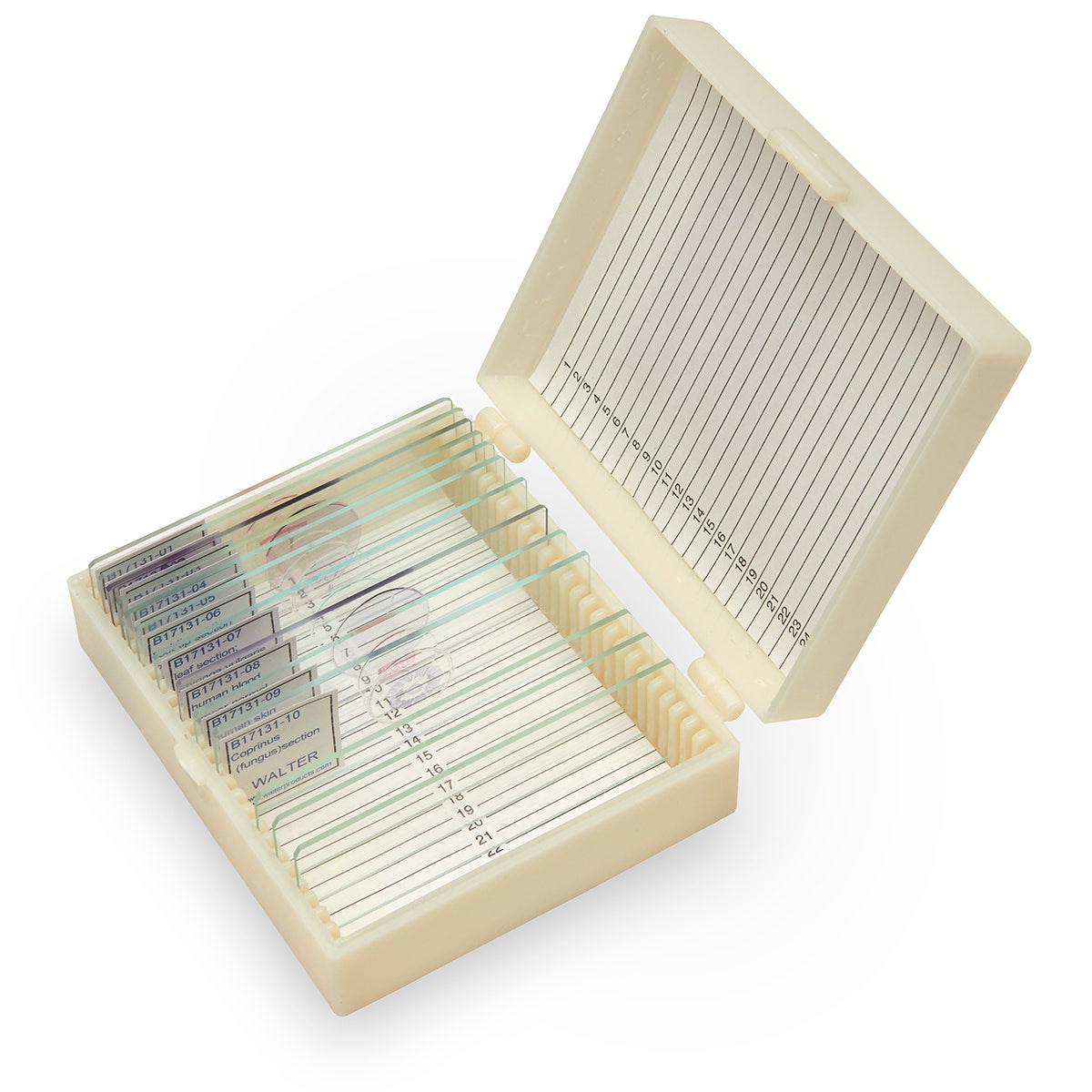 SB52950-Student Grade Life Science Slide Set