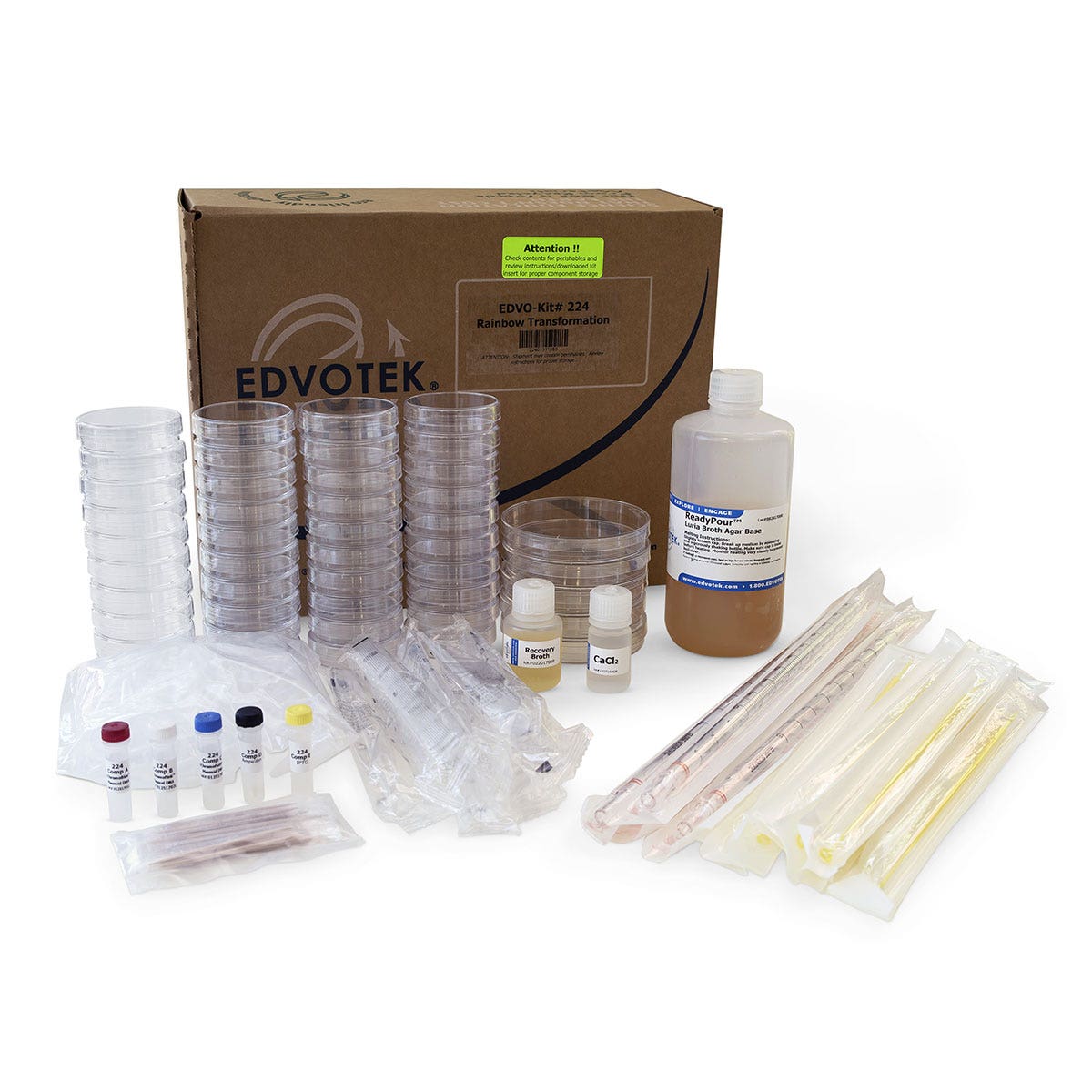 SB53003-Rainbow Transformation Kit