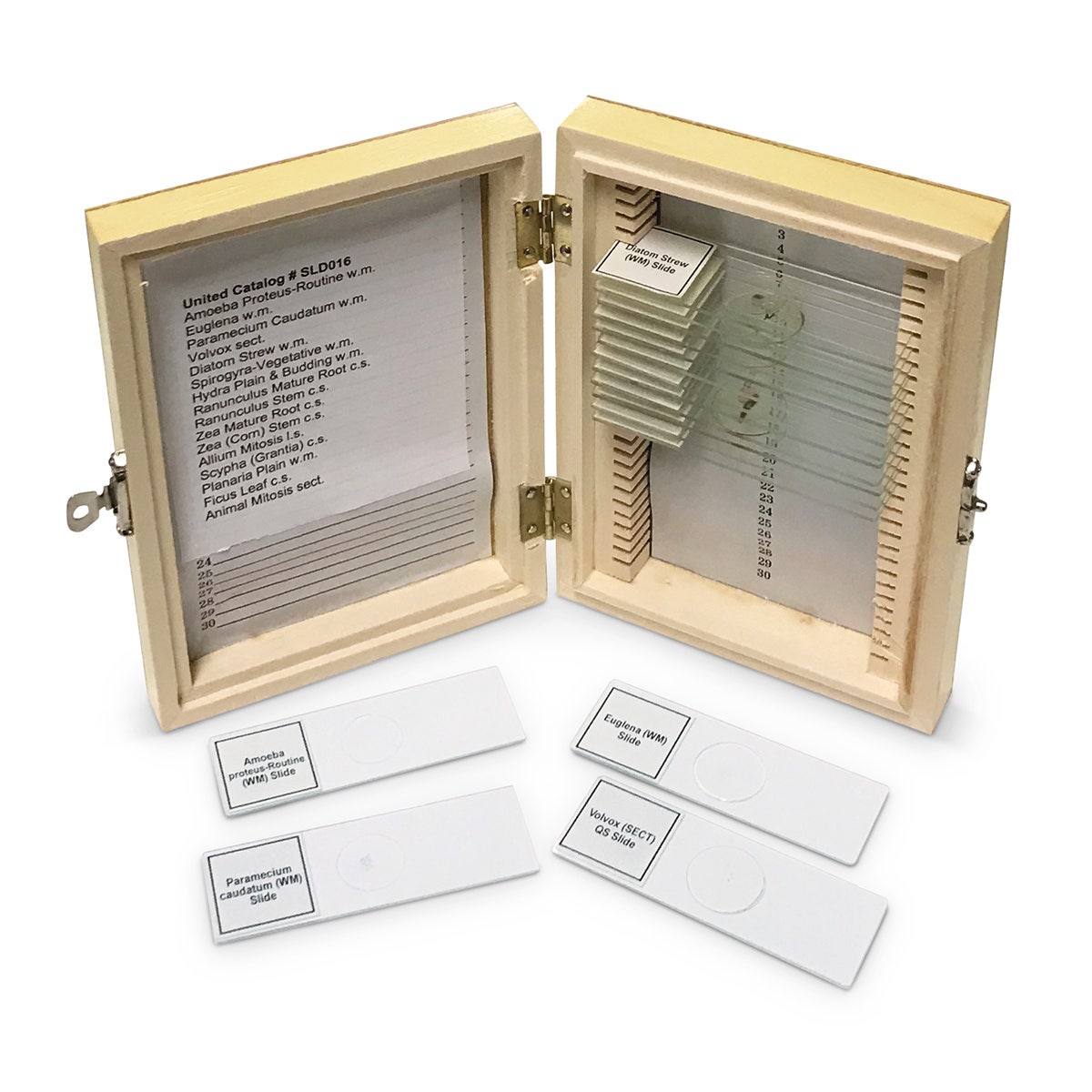 SB53252-Biology Slide Set - Wooden Case