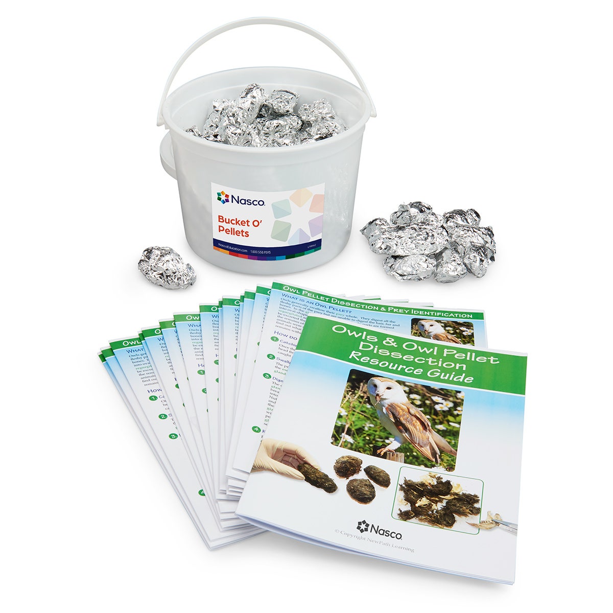 SB53337-Nasco Owl Pellet Classroom Kit