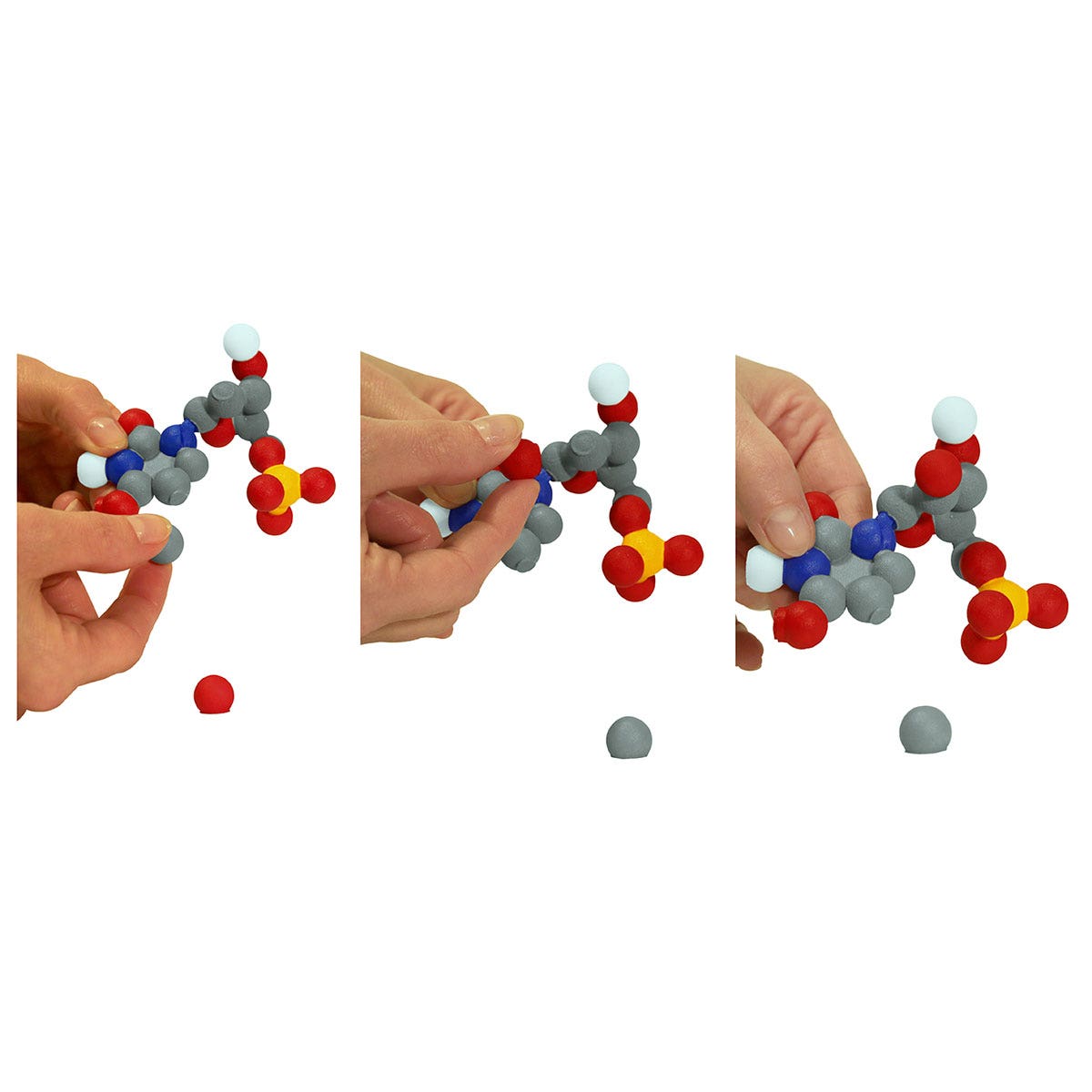 SB53359-Dynamic DNA 6 Base Pairs Kit