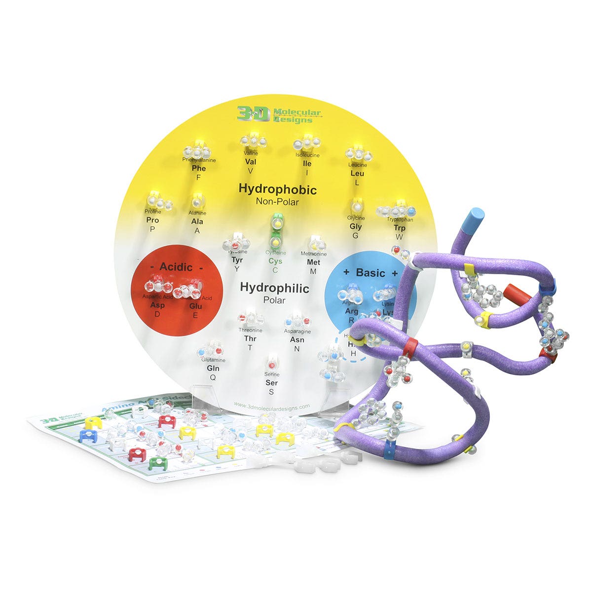 SB53364-Amino Acid Starter Kit for 6 Groups