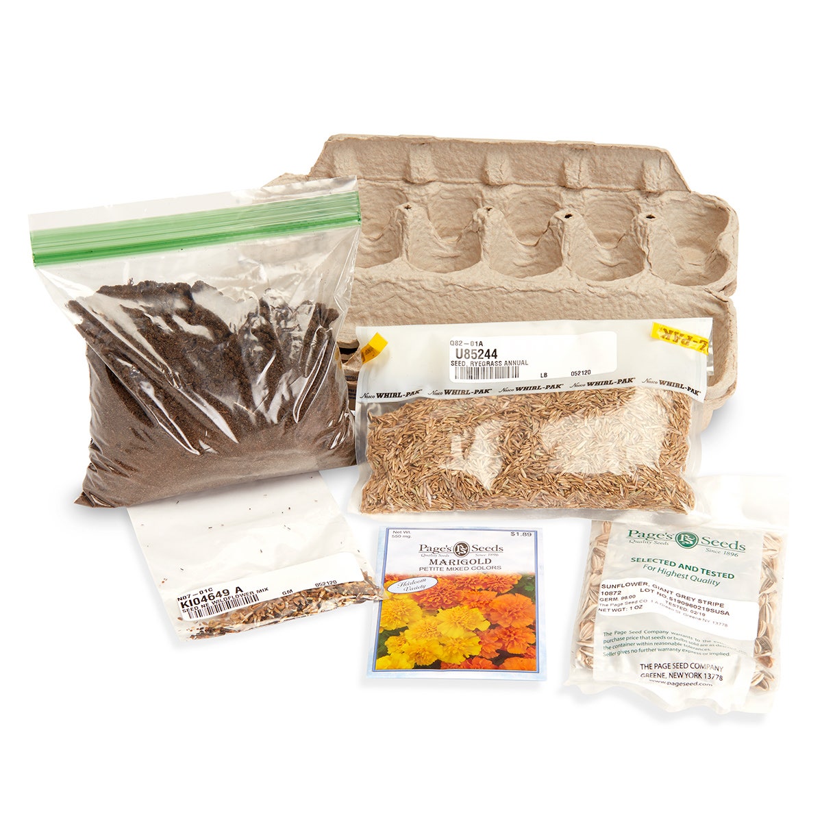 SB53411-Nasco Grow a Decorative Garden Student Kit
