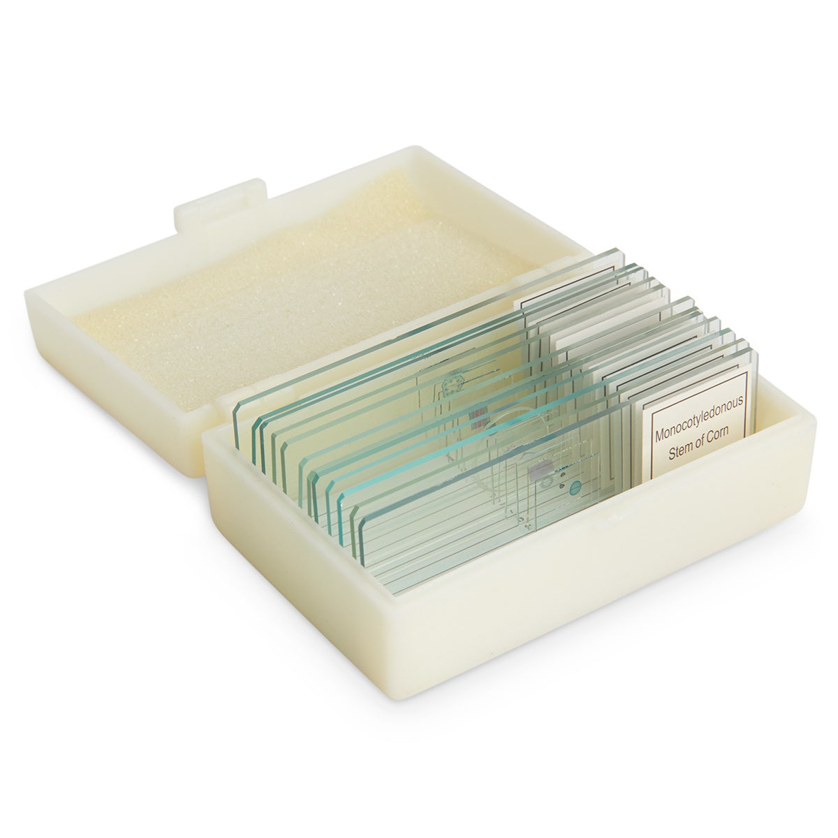 SL10006-Student Grade Plant Slide Set