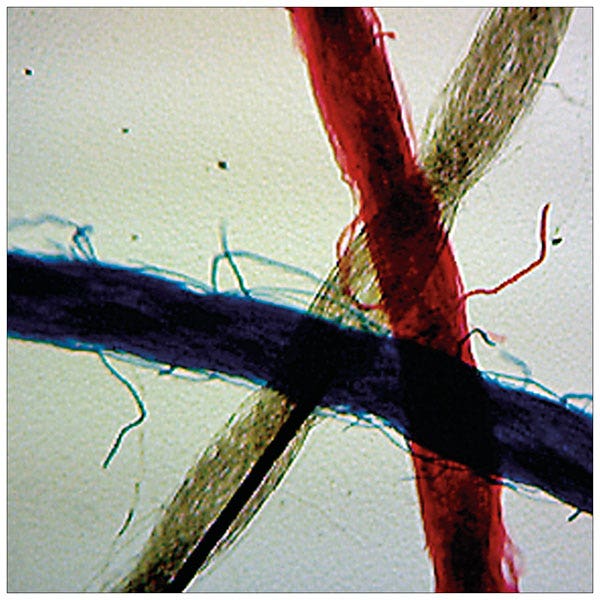 Microscope Slides - Nasco Education