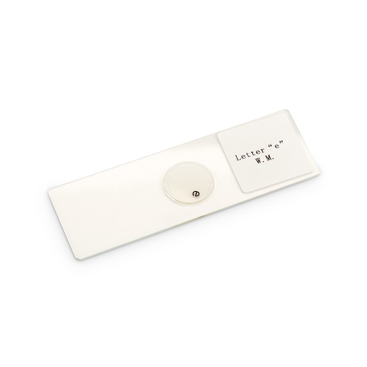 SL10023-Microscope Slides for the Beginner: Letter e - Whole Mount
