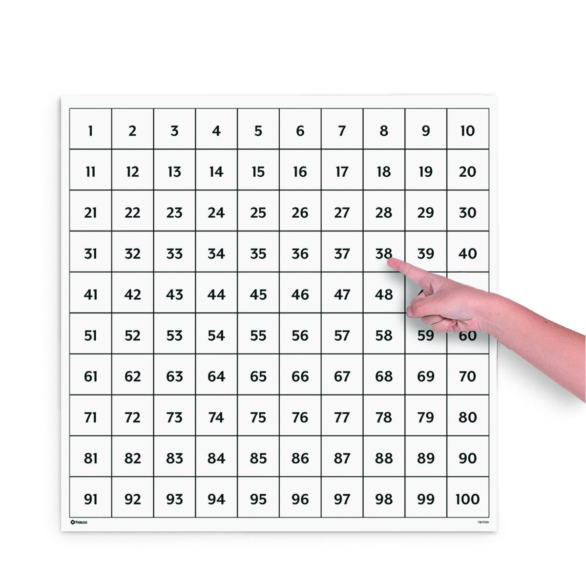 TB17520-Nasco Hundreds Poster Chart