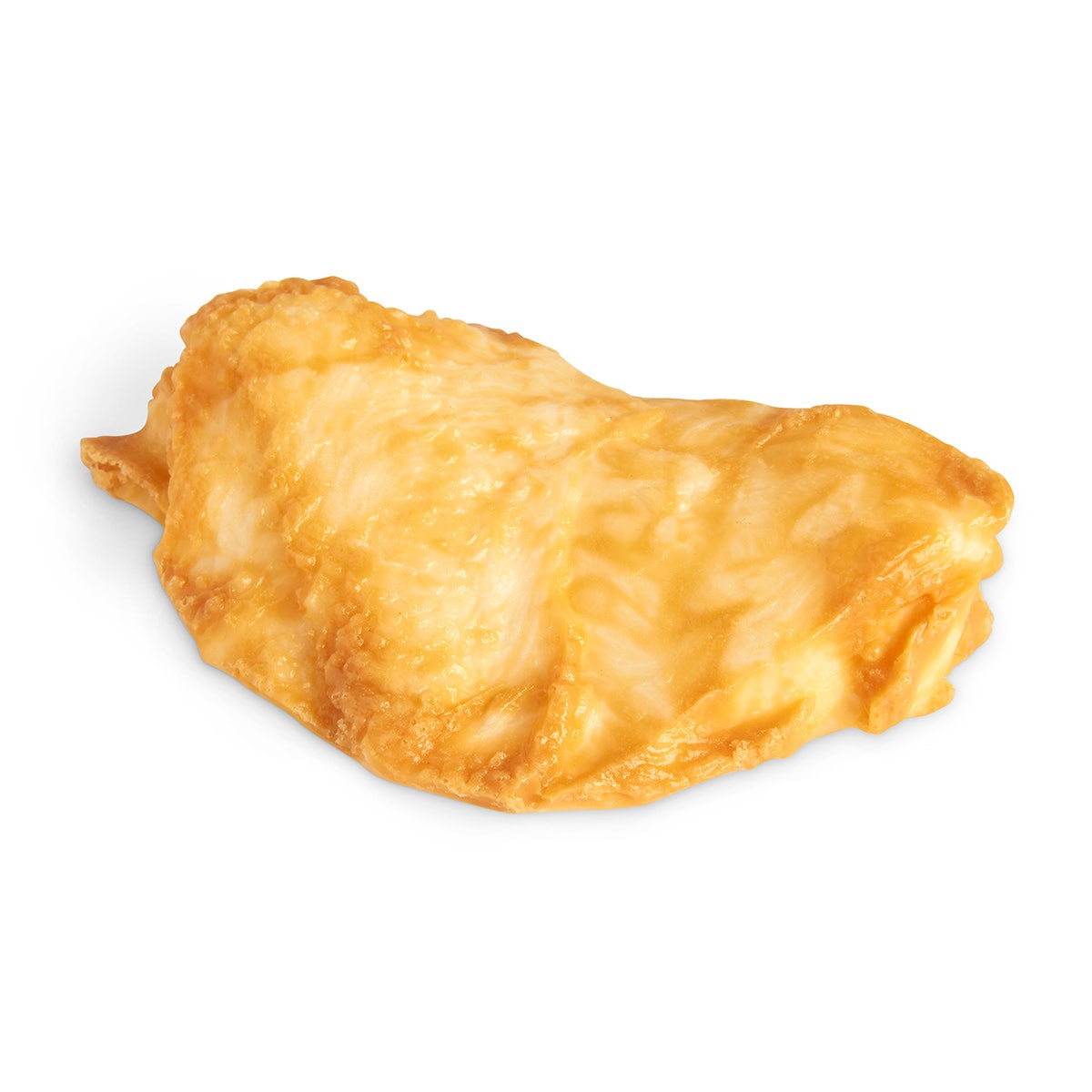 W05819-Nasco Chicken Breast Food Replica - Fried