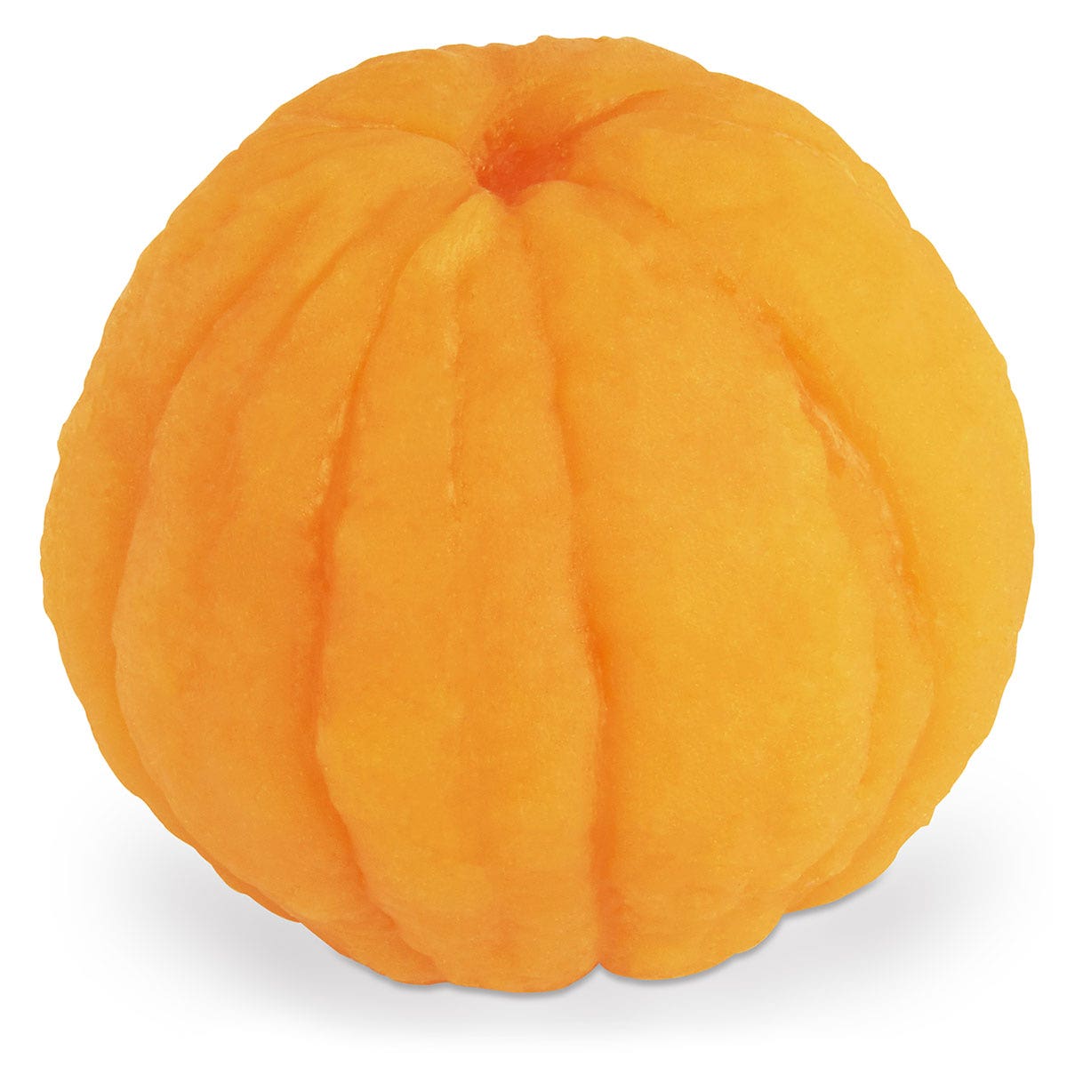 W05829-Nasco Orange Food Replica