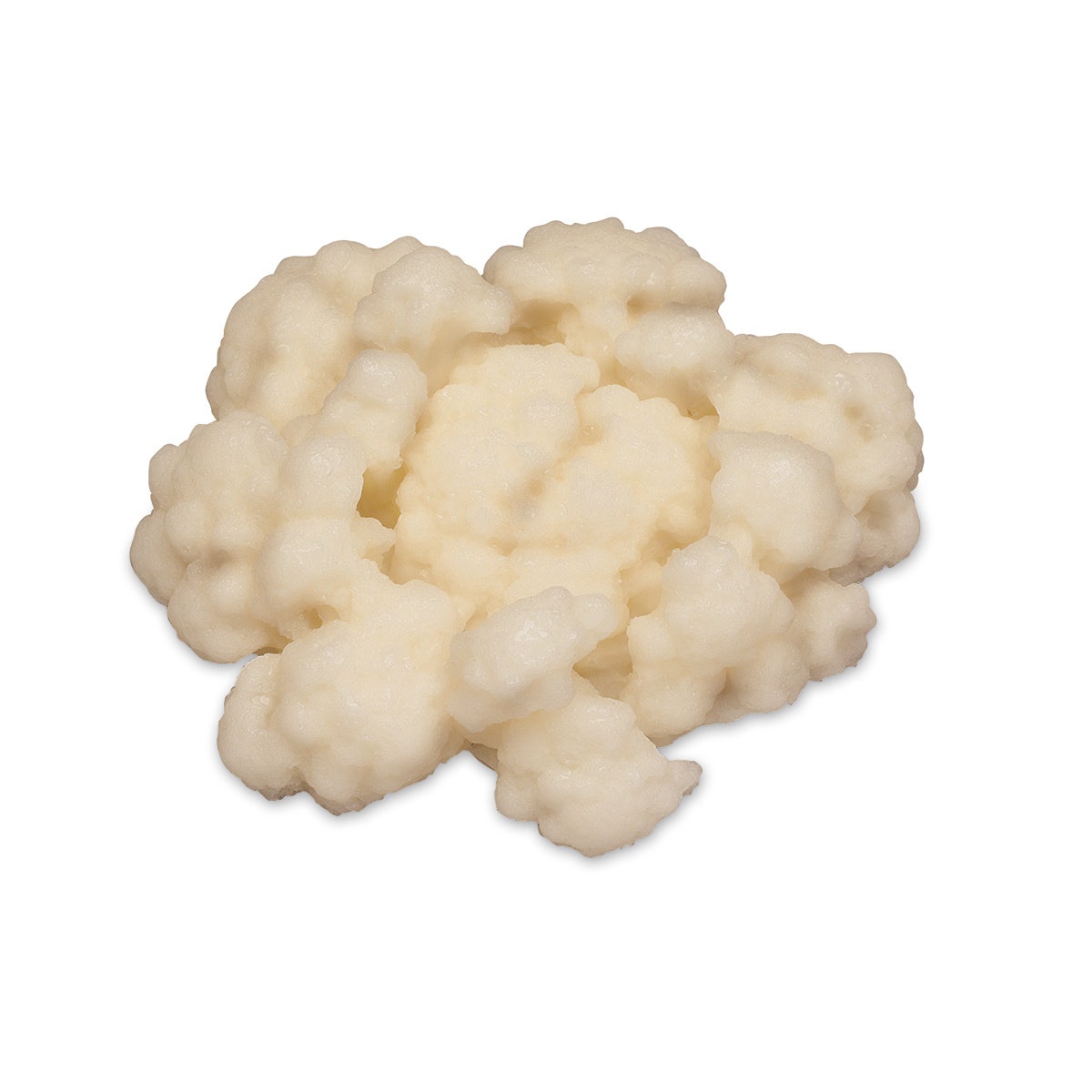 W07367-Cauliflower Food Replica