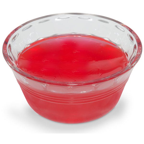 W07393-Nasco Gelatin Food Replica