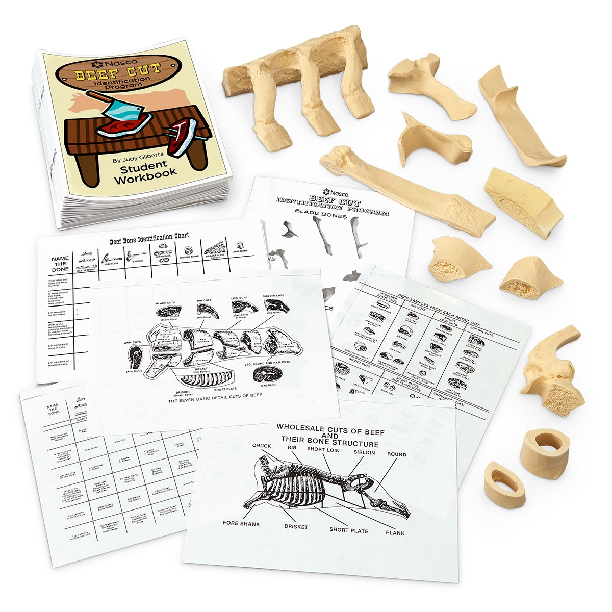 W09875-Nasco Beef Cut Identification Program