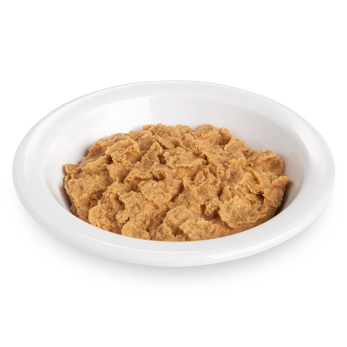 WA08840-Nasco Bran Flakes Food Replica