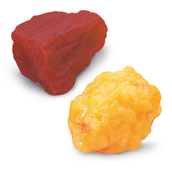 WA14562-1-lb. Fat and 1-lb. Muscle Replicas