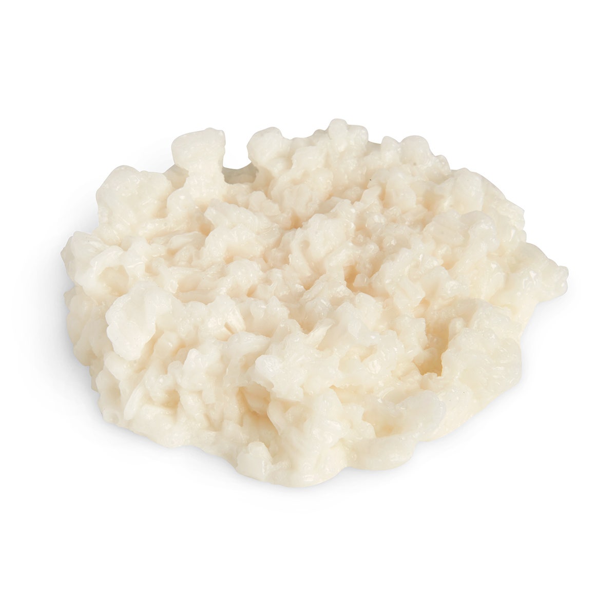 WA15322-Nasco Rice Food Replica - White - 1/2 cup (120 ml)