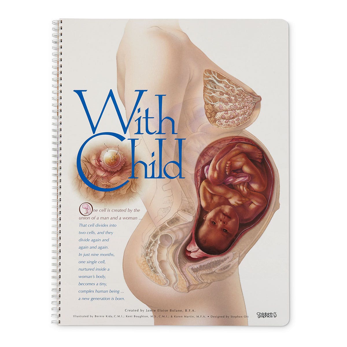 WA17647-With Child Life-Size Display