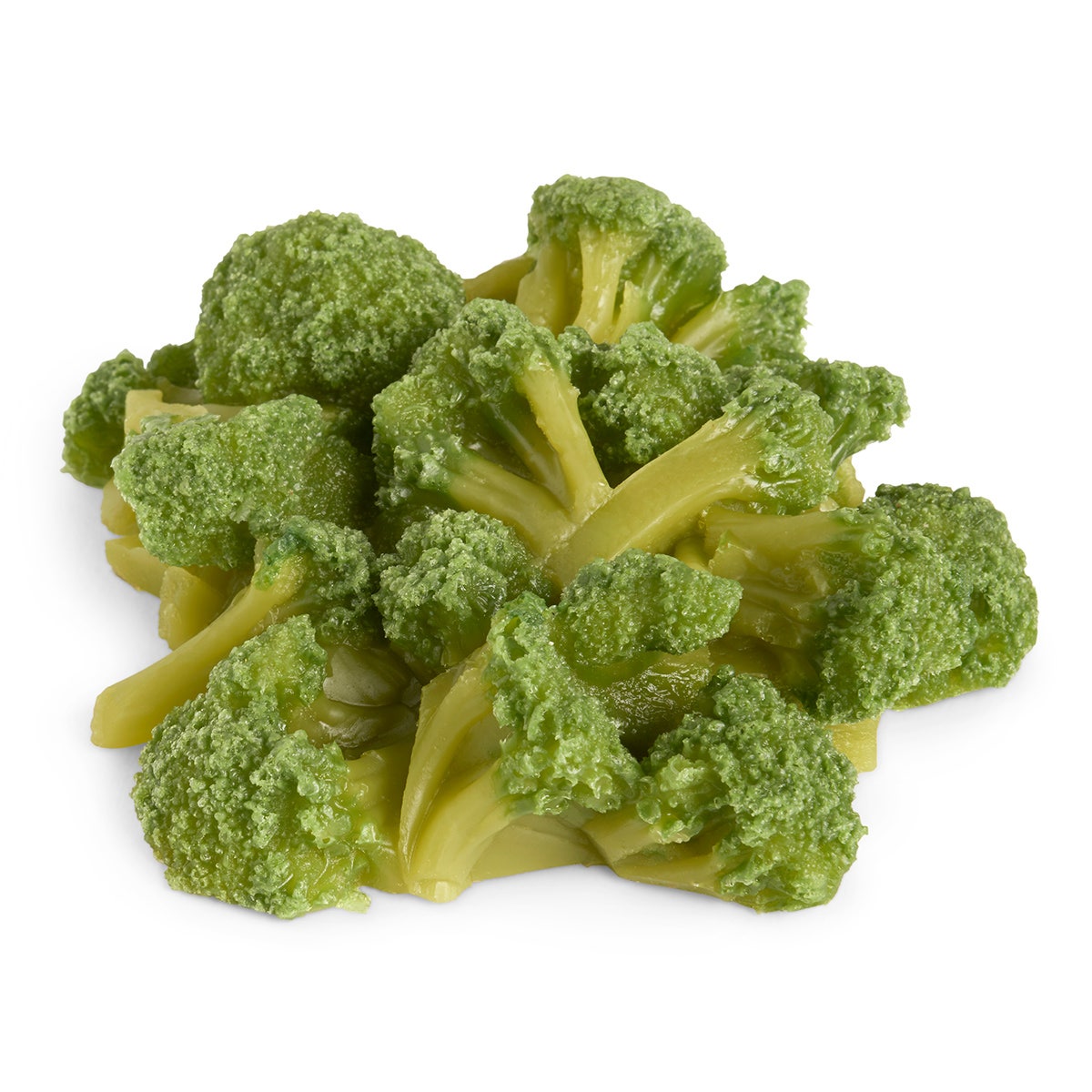 WA21283-Nasco Broccoli Food Replica - 1 cup (240 ml)