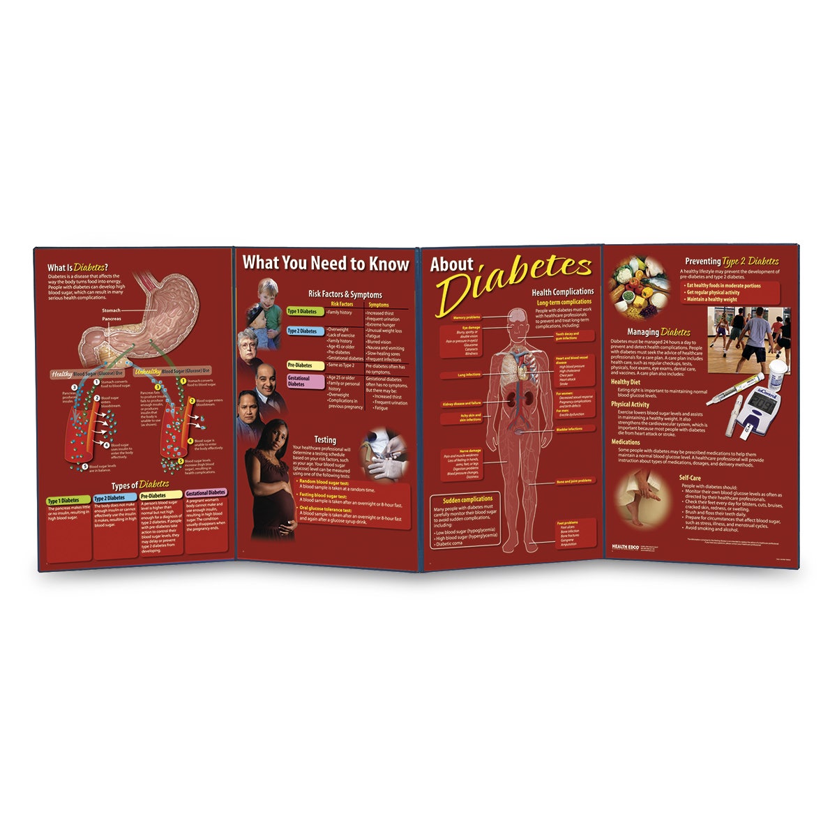 WA21320-Diabetes Folding Display
