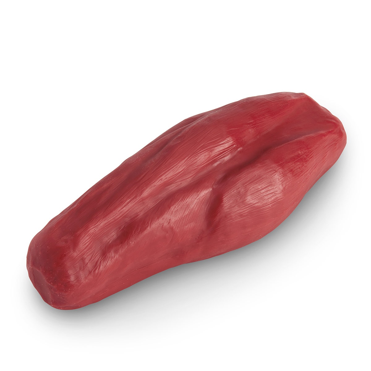 WA24038-Life/form® 5-lb. Enhanced Muscle Replica