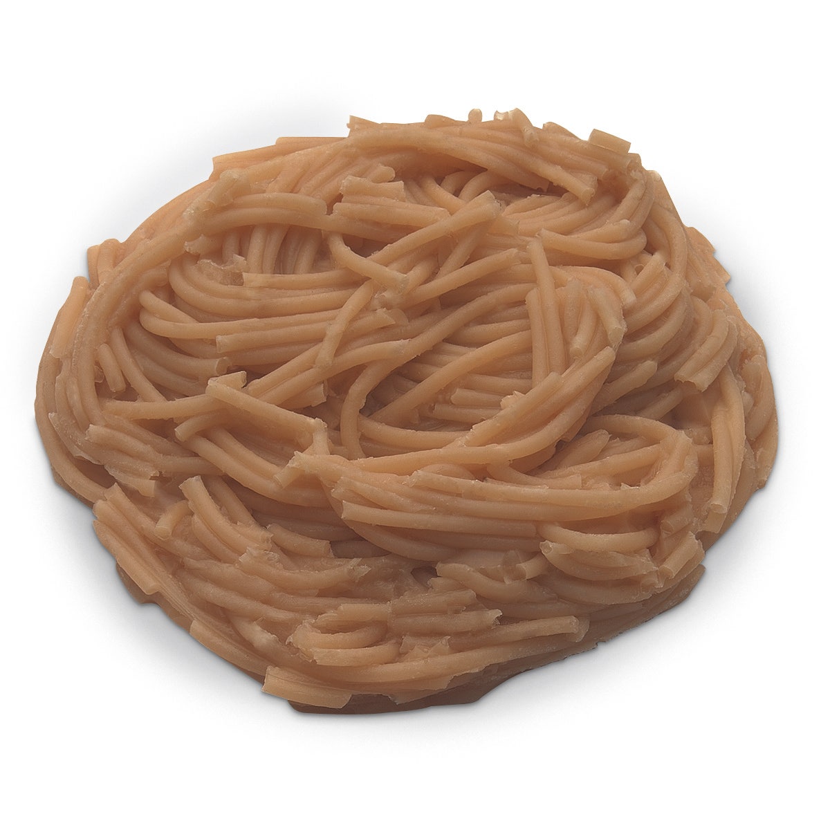 WA24921-Spaghetti Food Replica - Whole Grain