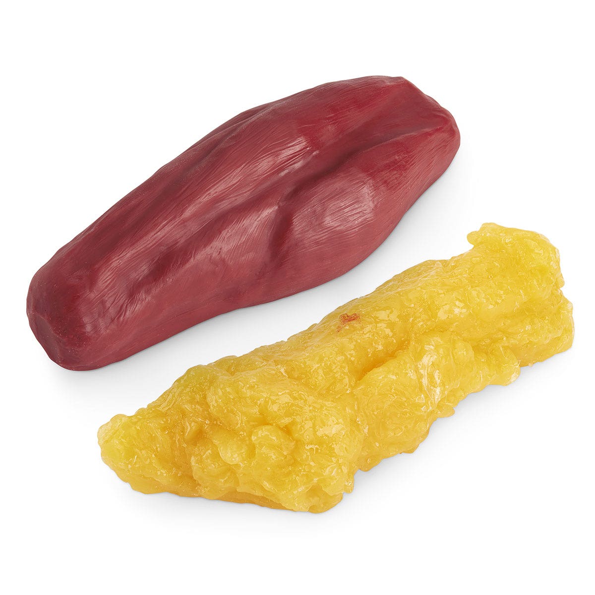 WA25814-5-lb. Fat and 5-lb. Muscle Replicas