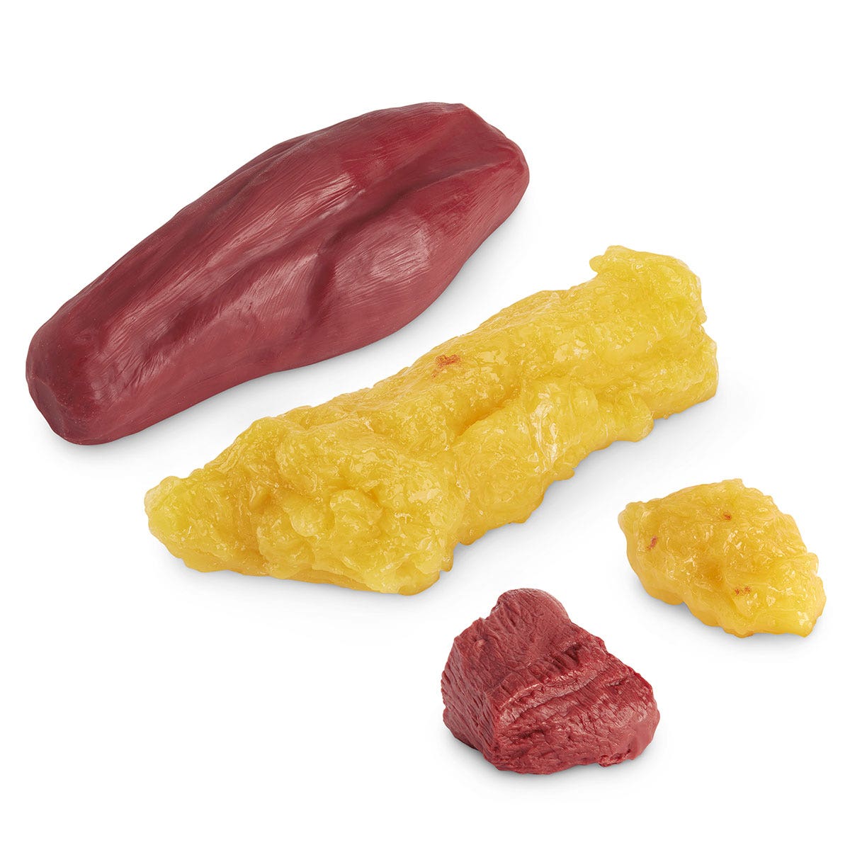 WA25815-1-lb. & 5-lb. Fat Replicas and 1-lb. & 5-lb. Muscle Replicas