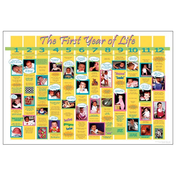 X0000WA25832-Child Development Poster