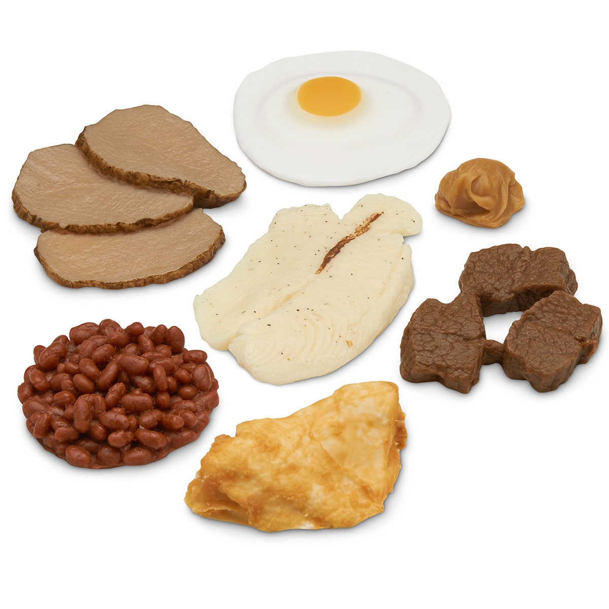 WA25941-Basic Protein Food Replica Kit