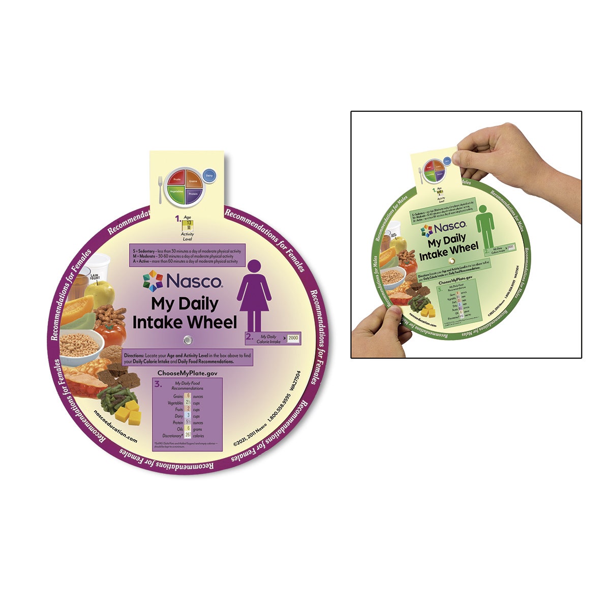 WA27504-Nasco My Daily Intake Wheel - 8-1/4 in. dia.