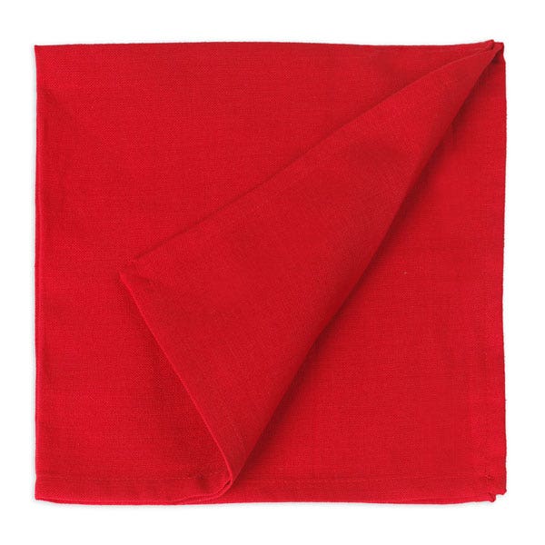 X0000WA28248-Napkins - 20 in. x 20 in.
