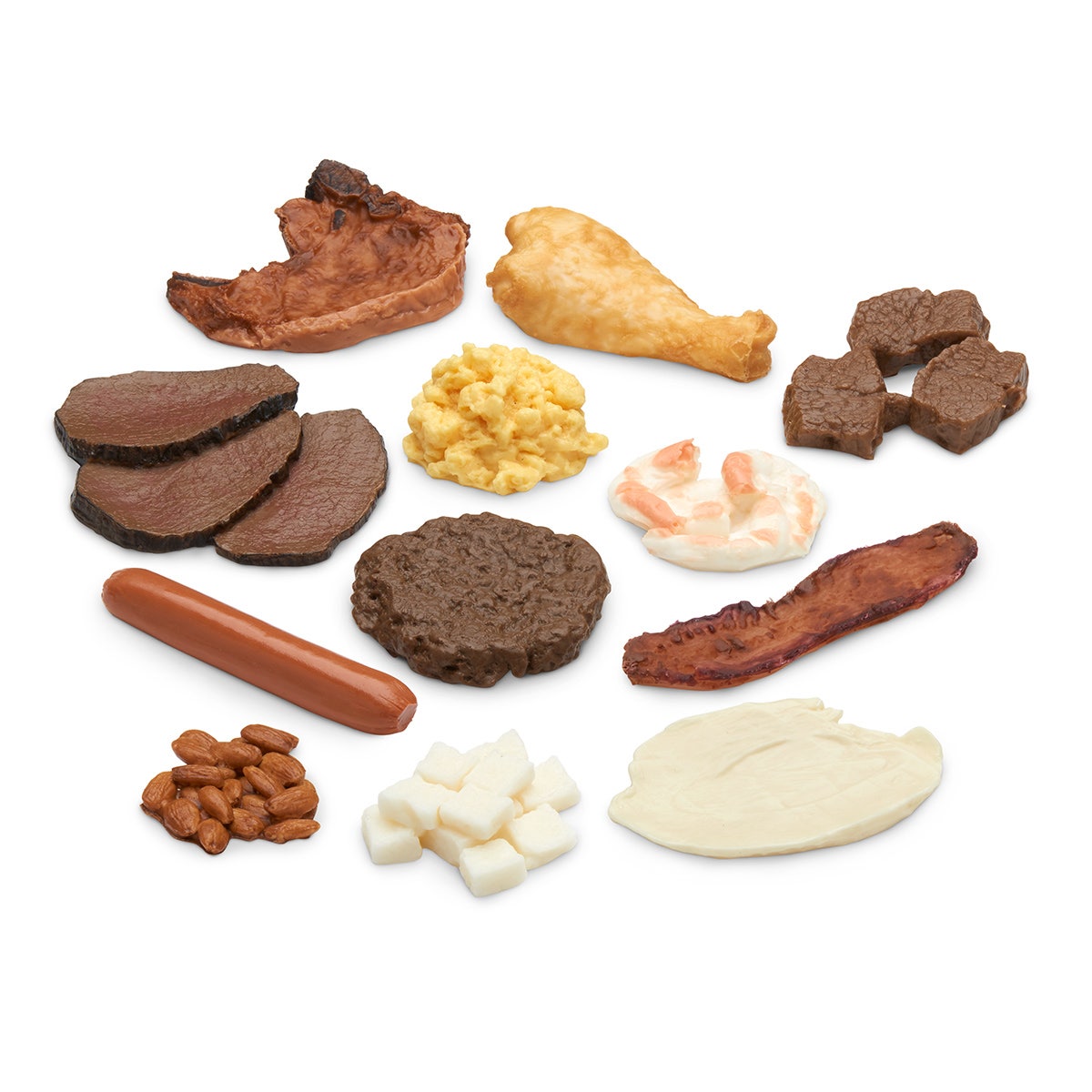 WA28389-Big Protein Food Replica Kit