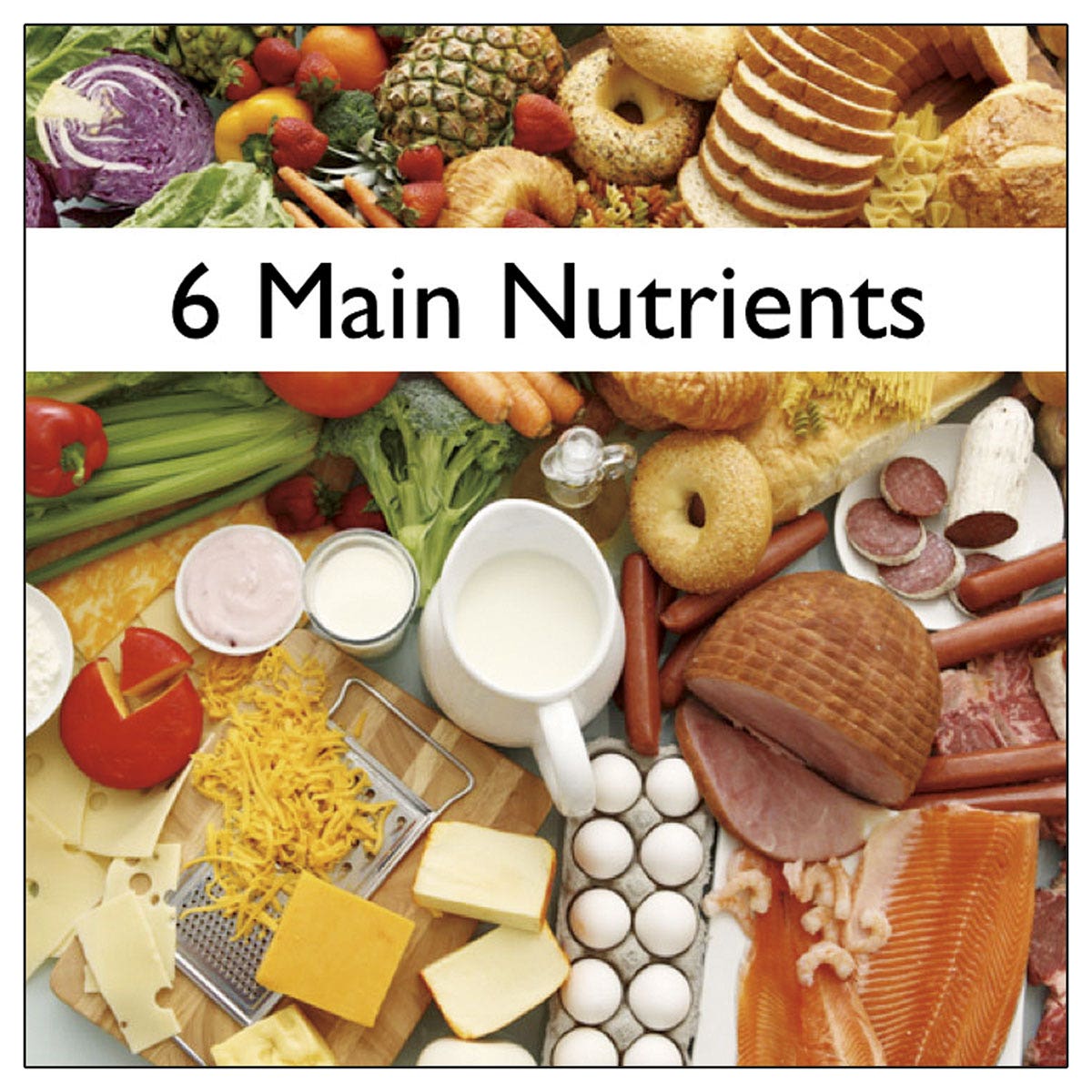 X0000WA29712-Lesson Manuals with PowerPoint