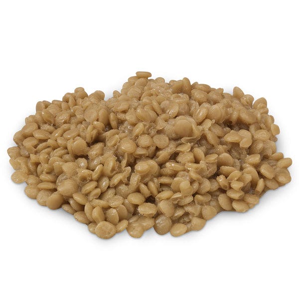 WA32294-Lentils Food Replica