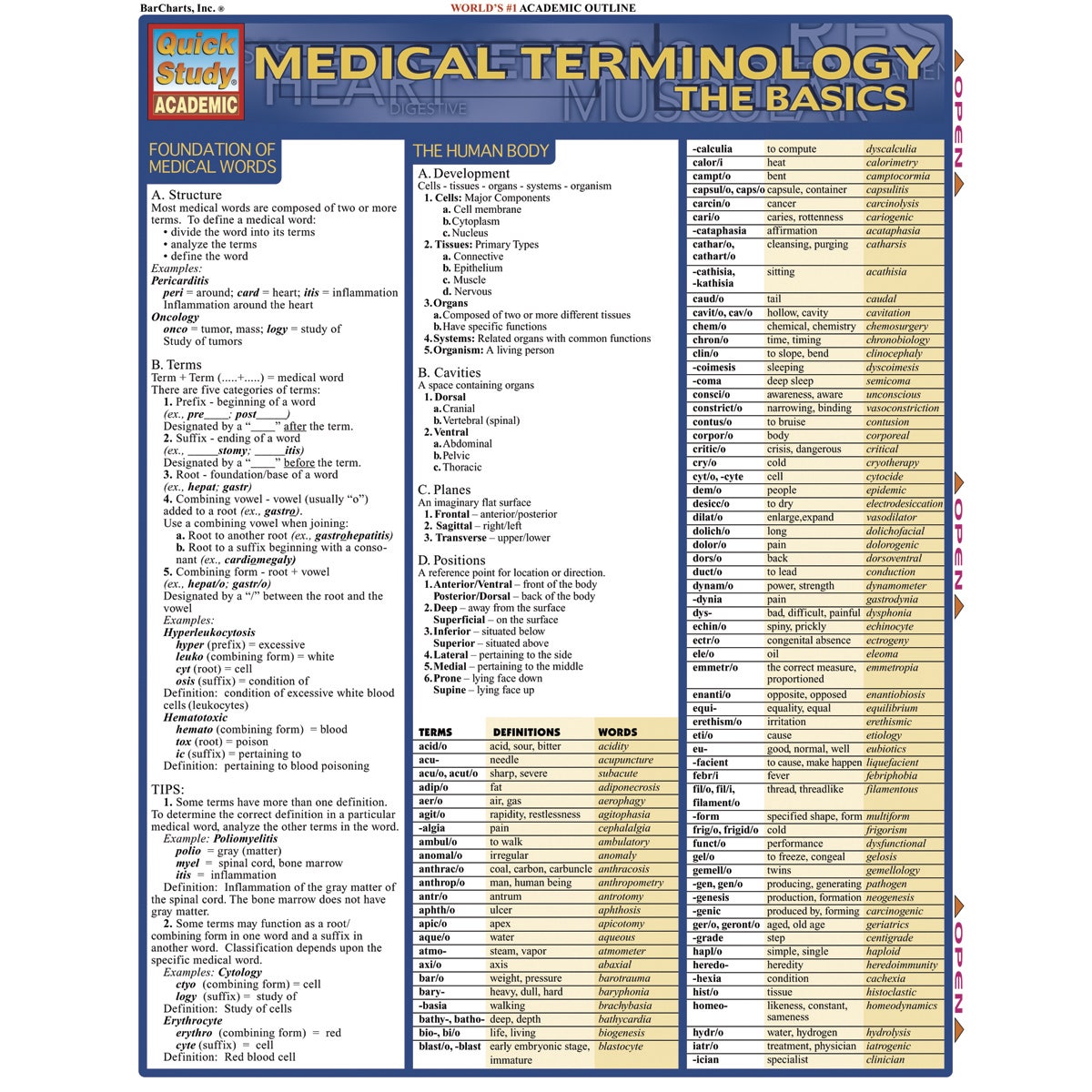 WA32353-QuickStudy® Medical Terminology: The Basics
