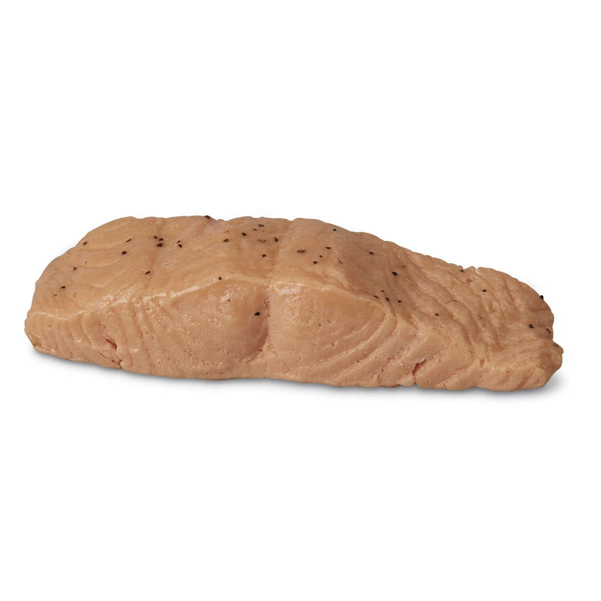 WA33813-Nasco Salmon Food Replica - Broiled