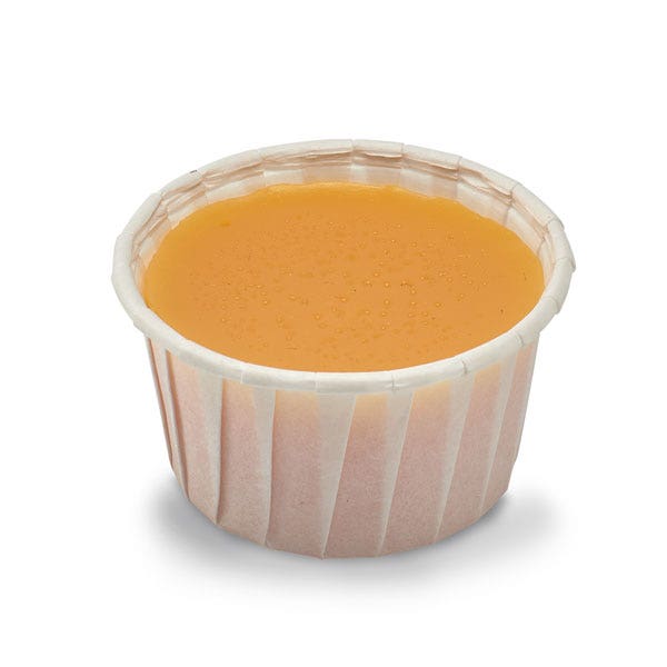 WA33822-Nasco Cheese Dip Food Replica