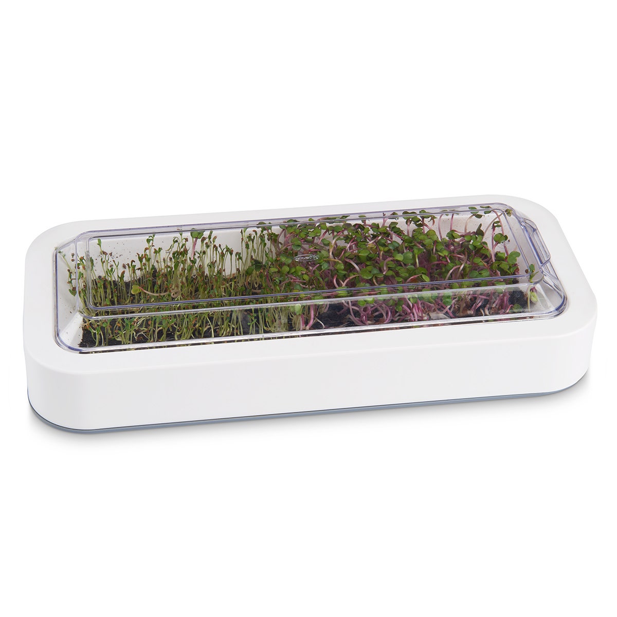 WA35499-Microgreen Grower