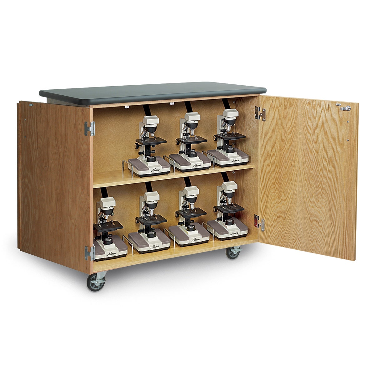 Z10256-Mobile Microscope Cabinet - 48 in. x 24 in. x 40 in.