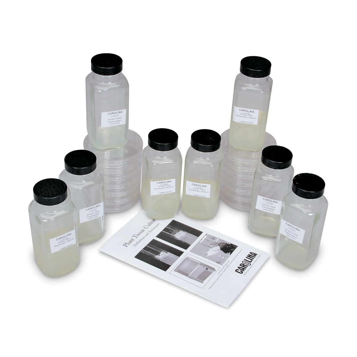 Z19120-African Violet Cloning Kit