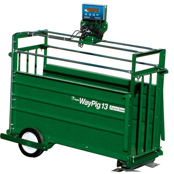 Z42129-WayPig® Digital Market Hog Scale