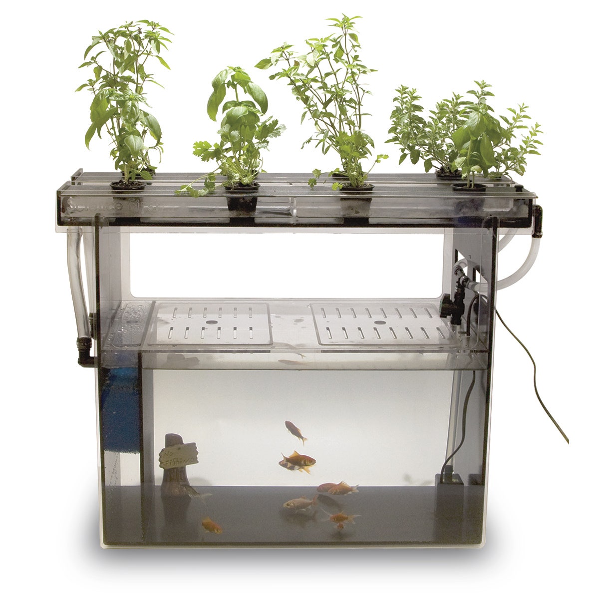 Z49074-Aquaponics Kit