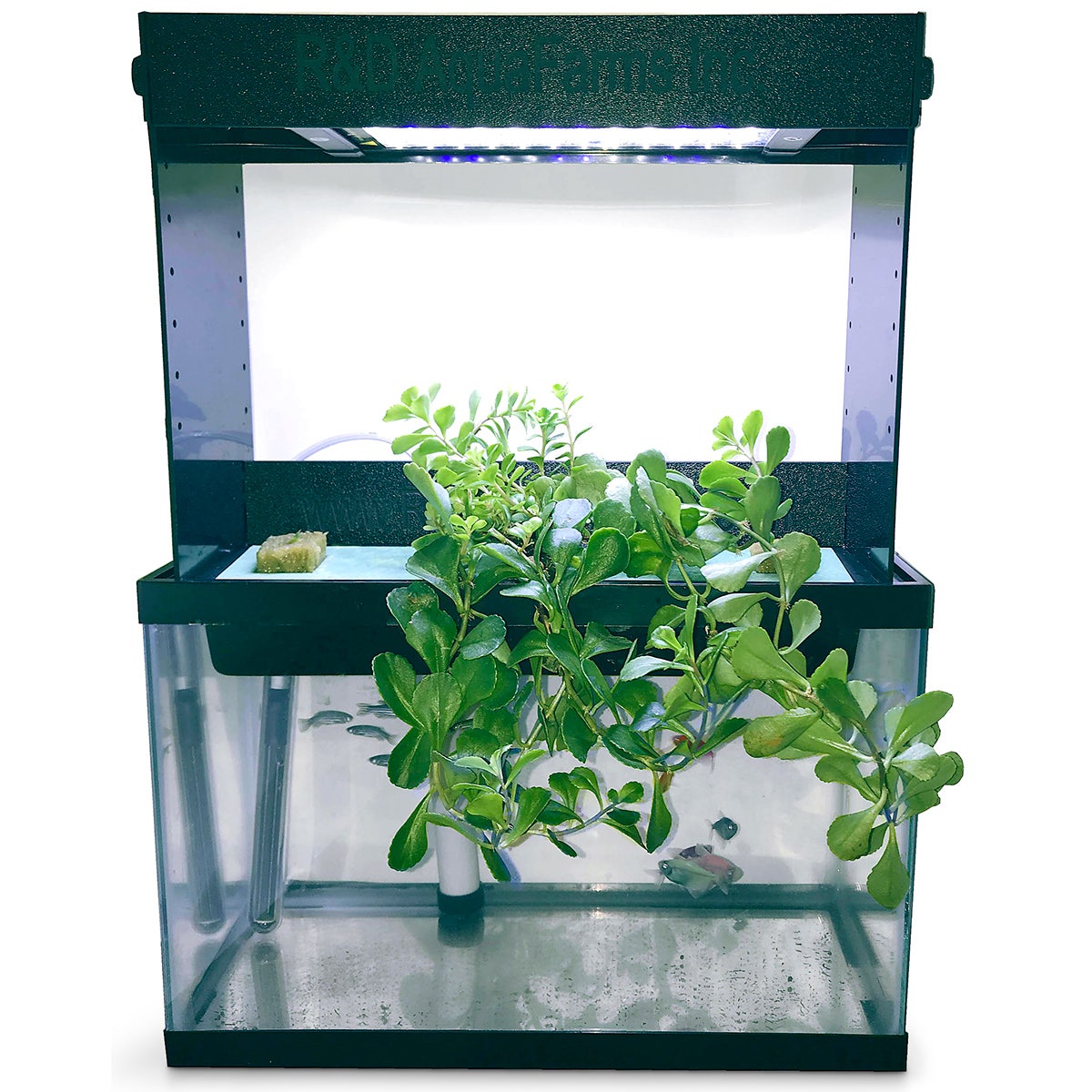 Z51477-Counter AquaPonics with Grow Light